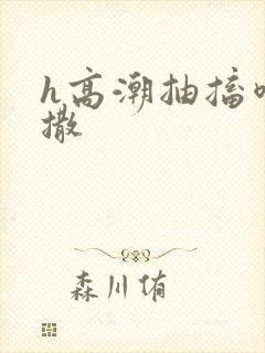 h高潮抽搐喷潮撒