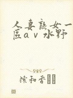 人妻熟女一区二区aⅴ水野
