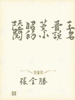 陆昭菱晋王周时阅的小说名