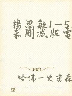 杨思敏1—5集未删减版电视剧