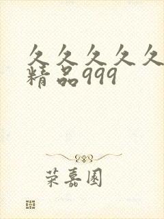 久久久久久国产精品999