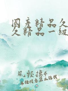 国产精品久久久久精品一级a