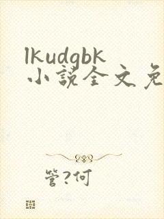 lkudgbk小说全文免费阅读笔趣阁无弹窗