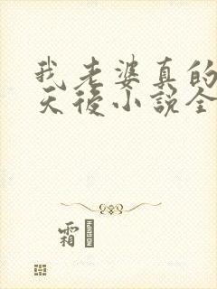 我老婆真的不是天后小说全集阅读