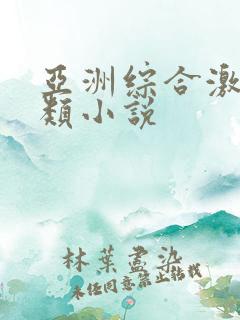 亚洲综合激情另类小说