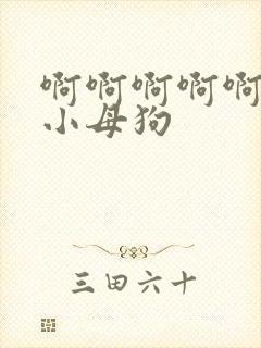 啊啊啊啊啊操死小母狗