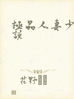 极品人妻少妇小说