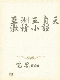 亚洲五月天另类激情小说
