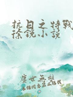 抗日之特战兵王徐锐小说