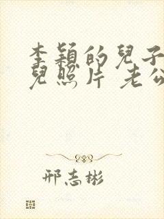 李颖的儿子和女儿照片 老公