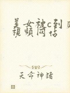 美女被c到爽哭视频网站