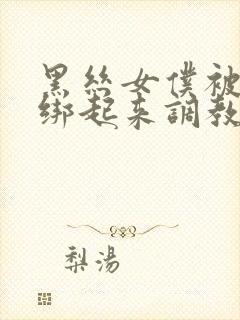 黑丝女仆被主人绑起来调教