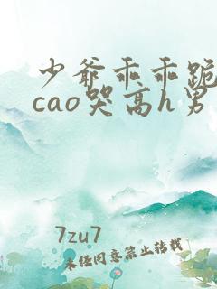 少爷乖乖跪趴被cao哭高h男男小说