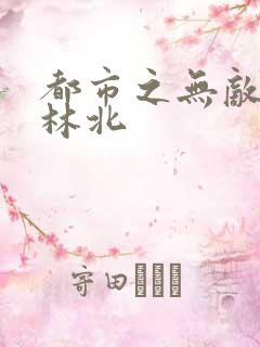 都市之无敌战神林北