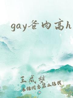 gay爸肉高h
