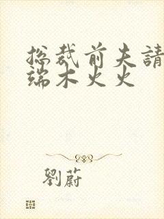 总裁前夫请自重端木火火