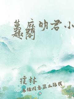 万历明君小说笔趣阁