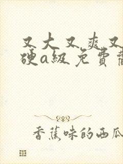 又大又爽又粗又硬a级免费观看