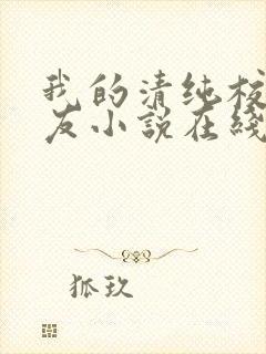 我的清纯校花女友小说在线阅读