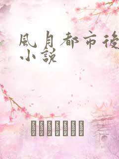 风月都市后宫录小说