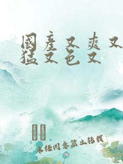 国产又爽又粗又猛又色又