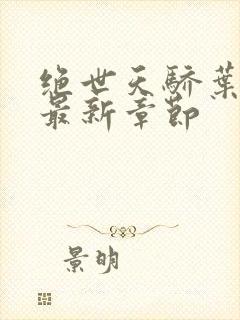 绝世天骄叶凌天最新章节