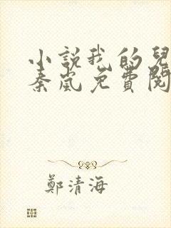 小说我的儿媳是秦岚免费阅读