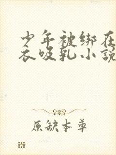 少年被绑在床扒衣吸乳小说