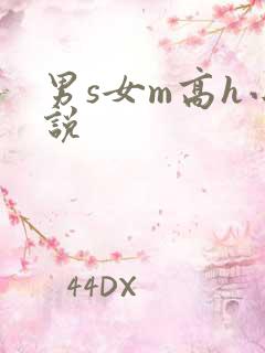 男s女m高h小说