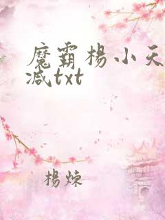 魔霸杨小天无删减txt