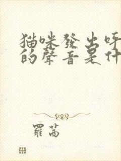 猫咪发出呼噜噜的声音是什么情况