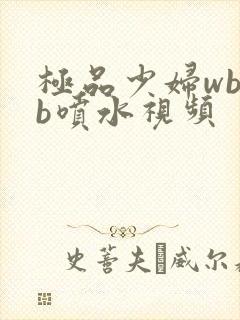 极品少妇wbbb喷水视频