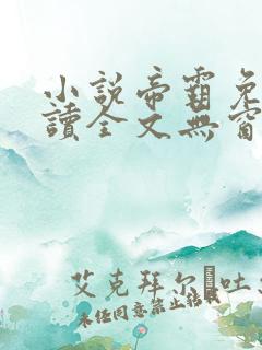 小说帝霸免费阅读全文无窗口