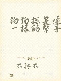 狗狗总是像呛到一样的声音怎么回事