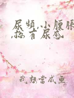 尿频,小腹胀痛,总有尿感