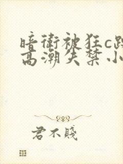 暗卫被狂c躁到高潮失禁小说