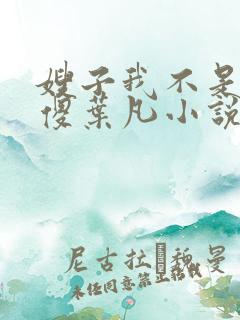 嫂子我不是真的傻叶凡小说免费阅读