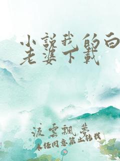 小说我的白富美老婆下载