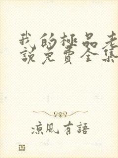 我的极品老婆小说免费全集