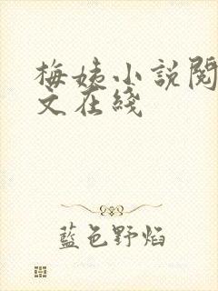 梅姨小说阅读全文在线