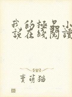 我的极品小姨小说在线阅读