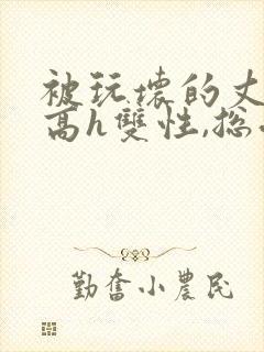 被玩坏的丈夫(高h双性,总受,ntr)