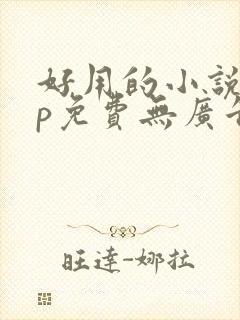 好用的小说app免费无广告