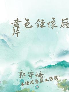 黄色录像厅一级片