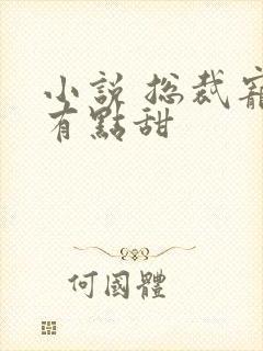 小说 总裁宠妻有点甜