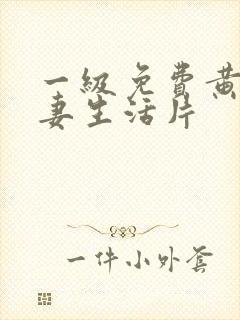 一级免费黄色夫妻生活片