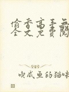 偷香高手无删减全文免费阅读