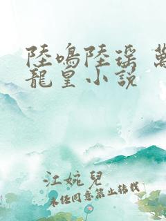 陆鸣陆瑶 万道龙皇小说