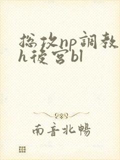 总攻np调教高h后宫bl