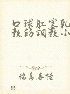 口球肛塞乳夹调教的调教小说